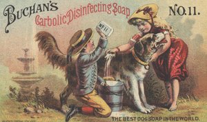 Anuncio de Buchans Carbolic Disinfecting Soap No. 11, c.1880 de American School