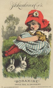 Anuncio de J. D. Larkin & Cos Boraxine, 1882