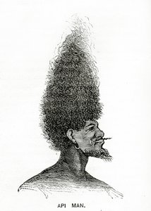 Hombre Api, ilustración de Appletons Journal, 4 de mayo de 1872
