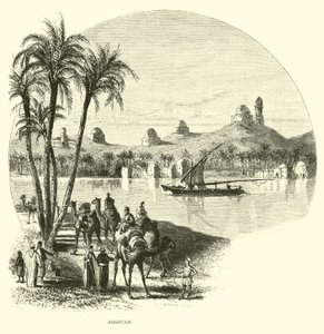 Asuán de American School