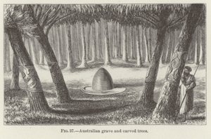 Tumba australiana y árboles tallados de American School
