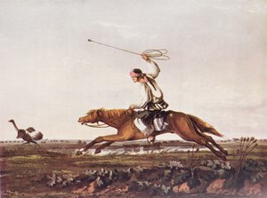 Boleando Avestruces, reproducido de 