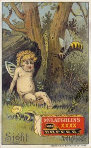 Abeja atacando a putto de American School