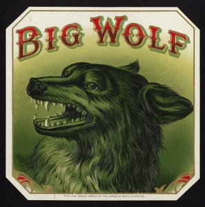 Lobo negro mostrando los dientes de American School