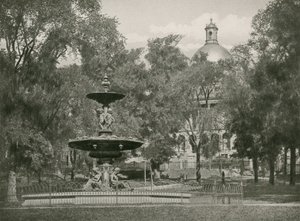 Boston Common de American School