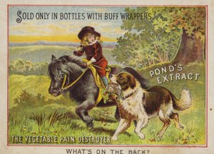 Niño montando un pony con su perro de American School