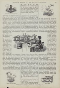 Exhibición de gusanos de seda brasileños en el Salón de Maquinaria, Exposición del Centenario, Filadelfia, Pensilvania, EE.UU. de American School