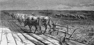 Rompiendo la pradera, ilustración de 