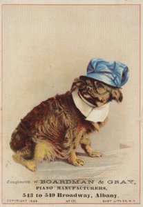 Perro marrón con sombrero y gafas