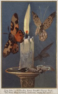Mariposas alrededor de una vela encendida