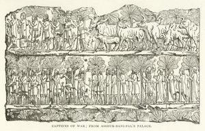 Cautivos de guerra; del Palacio de Asshur-bani-pal