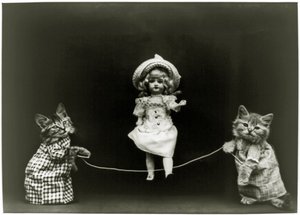 Curiosidad del gato, 1891 de American School