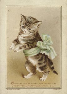 Gato con lazo verde de American School