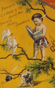 Querubín leyendo un libro en un árbol de American School