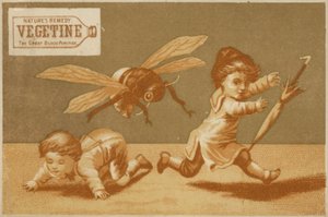 Niños siendo perseguidos por una abeja