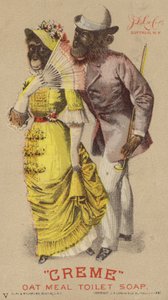 Chimpancés con ropa de American School