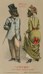 Chimpancés con ropa de moda de American School