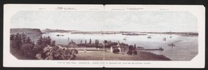 Ciudad de Nueva York, Brooklyn, Jersey City y Estación de Cuarentena en Staten Island, c.1850 (litografía en color) de American School