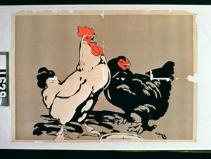 Gallo y Gallina