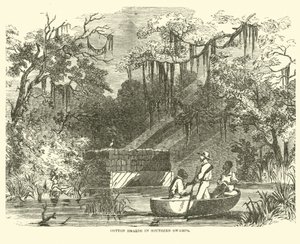 Alijos de algodón en los pantanos del sur, julio 1862 de American School
