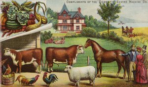 Casa de campo y animales de American School