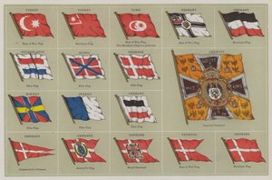 Banderas de American School