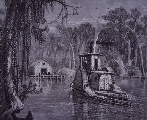 Escena de los Everglades de Florida