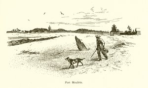 Fuerte Moultrie de American School