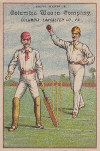 Juego de cricket