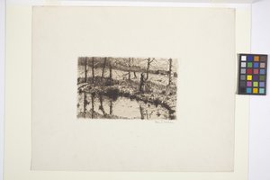 Chica junto al estanque (tinta) de American School