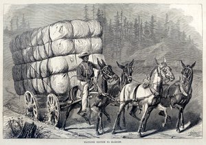 Transportando Algodón al Mercado, de Cien Años de Progreso de los Estados Unidos, pub. 1871 de American School