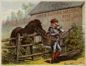 Caballo y niño comiendo manzanas de American School