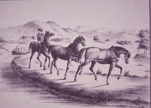 Caballos tirando de un barco de canal en el Canal Erie (grabado)