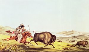 Cazando el búfalo