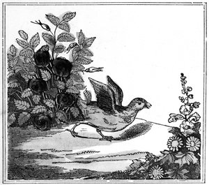 Ilustración de la Notable Historia de Chicken Little, 1840 de American School