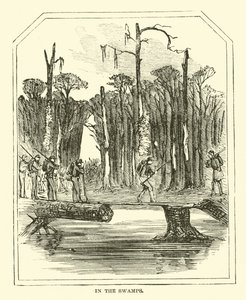 En los pantanos, marzo 1863 de American School