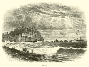 Jaffa