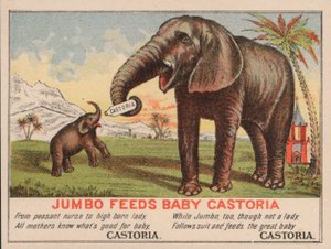 Jumbo alimenta al bebé Castoria, anuncio de la medicina Castoria de Fletcher, con el famoso elefante de circo de P.T. Barnum de American School