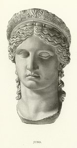 Juno de American School