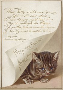 Gatito escondiéndose bajo una carta de American School