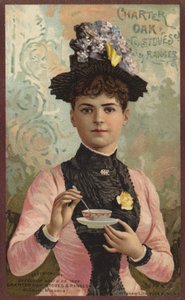 Dama Revolviendo Taza de Té