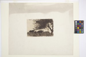Paisaje (tinta)