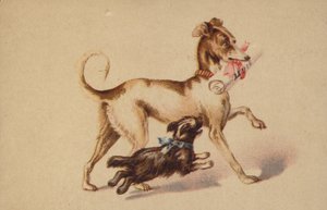 Perro grande y pequeño corriendo