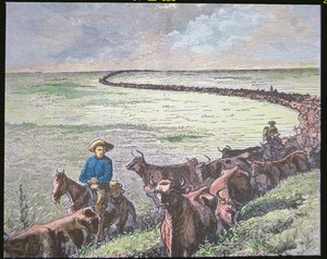 Conducción de ganado Longhorn de Texas a Abilene, Kansas, c.1870s de American School