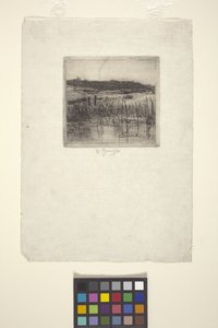 Marsh (grabado) de American School