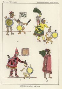 Insignias militares mexicanas de American School