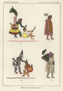 Insignias militares mexicanas de American School
