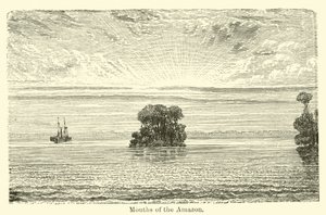Desembocaduras del Amazonas