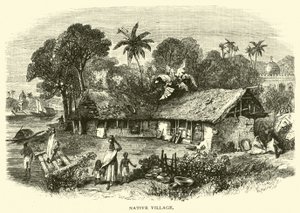 Aldea nativa