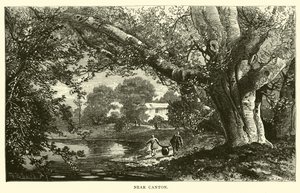 Cerca de Cantón de American School